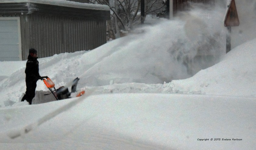 Blåsigt Copyright © 2015 Evalena Karlsson