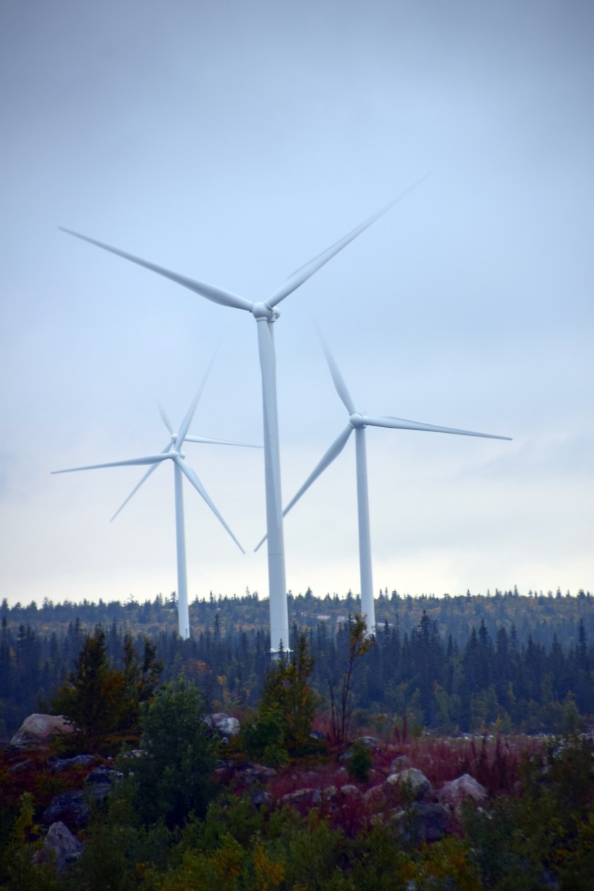 255 rena rama snurren